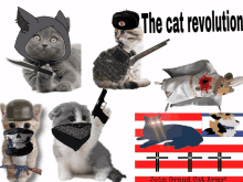 a poster that says " the cat revolution " on it with a bunch of cats