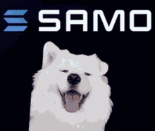 a samo logo with a smiling white dog in the foreground