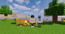 a screenshot of a minecraft game shows two characters standing in front of a campfire