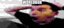 a pixelated image of a person with the word worldbox written on the bottom