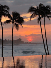 a sunset with palm trees in the foreground and a pool in the background