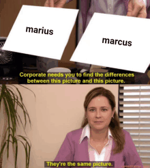 Marcusvsmarius Meme