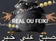 a picture of a mouse with arabic writing on it