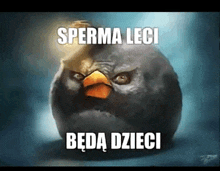 a picture of an angry bird with the words sperma leci behind it