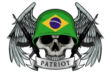 a drawing of a skull wearing a helmet with the brazilian flag on it