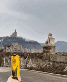 a person is holding a bottle of aloe vera gel in front of a castle and a statue of a lion .