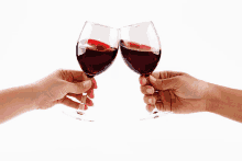 two hands toasting with wine glasses filled with red wine