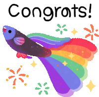 an illustration of a fish with a rainbow tail and the words congrats below it