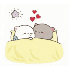 two cats are sleeping on a bed with hearts coming out of their heads .