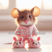 a mouse wearing pajamas and bunny slippers says ready for bed