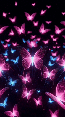 a flock of pink and blue butterflies flying in the dark .