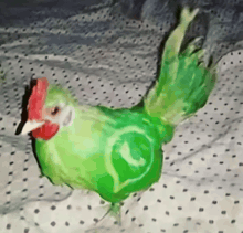 a green chicken with a whatsapp logo on it