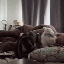 a person laying on a bed with a cat laying on their chest