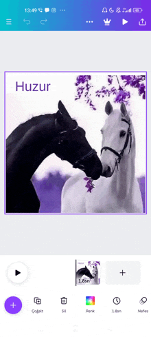 a picture of two horses with the word huzur on the top