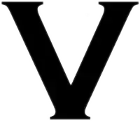 the letter v is shown in black on a white background