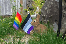 a rabbit is sitting in the grass next to a rainbow flag