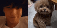 a man and a poodle are sitting next to each other . the poodle is smiling and looking at the camera .