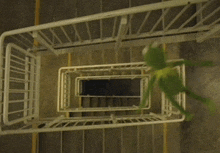 a kermit the frog is looking down a staircase