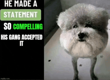 a picture of a dog with a caption that says " he made a statement so compelling his gang accepted it "