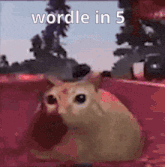 a picture of a cat with the words wordle in 5 written on it