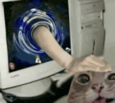 a cat looking at a computer screen with a hand sticking out of it