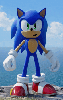 sonic the hedgehog is standing on a rock near the water