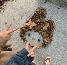 a person making a face out of leaves with their fingers