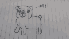 a drawing of a pug dog with the name holly written below it