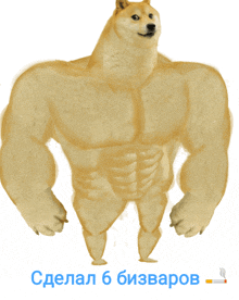 a very muscular doge with a cigarette in the corner