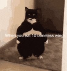 a black and white cat is standing in a hallway .