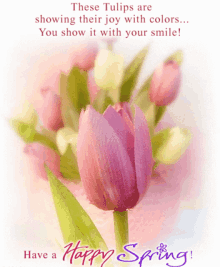 a greeting card with a pink tulip and the words " have a happy spring "