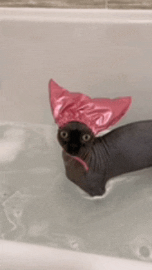 a hairless cat is taking a bath in a bathtub and wearing a pink hat .