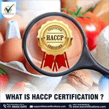 a magnifying glass shows a certified haccp badge