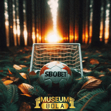 a soccer ball with the word sbobet on it sits in front of a goal