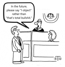 a cartoon of a man standing in front of a judge saying " in the future please say " i object "