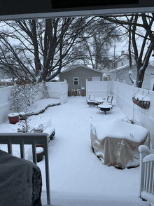 a snowy backyard with a white fence and trees