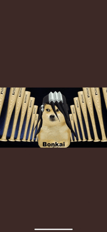 a doge with a crown on its head is surrounded by baseball bats and says bonkai on it