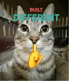 a cat with a yellow finger on its mouth and the words built different written above it