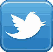 a blue twitter icon with a bird on it