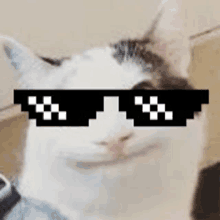 a close up of a cat wearing sunglasses that look like a pixel art .