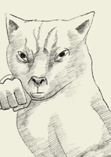 a black and white drawing of a cat with a fist in its face