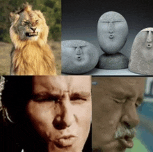 a collage of images including a lion and a man