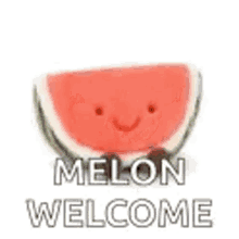 a stuffed watermelon with a smiling face and the words `` melon welcome '' .