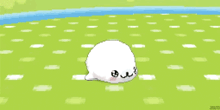 a pixel art drawing of a seal laying on its back on a green field .