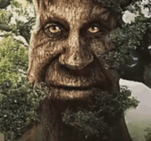 a statue of a tree with a beard and leaves on it 's face .