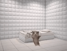 a cat is standing in front of a bed in a room with white walls .