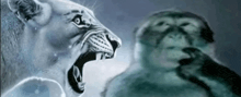 a lion and a seal are standing next to each other in the water .