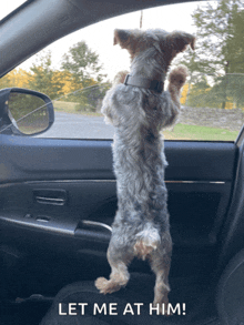 a small dog standing on its hind legs in a car with the words let me at him