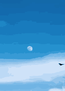 a bird flies in front of a full moon