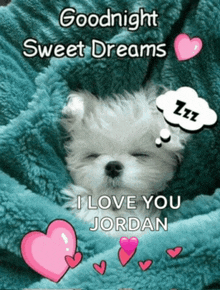 a puppy is wrapped in a blue blanket with the words goodnight sweet dreams i love you jordan